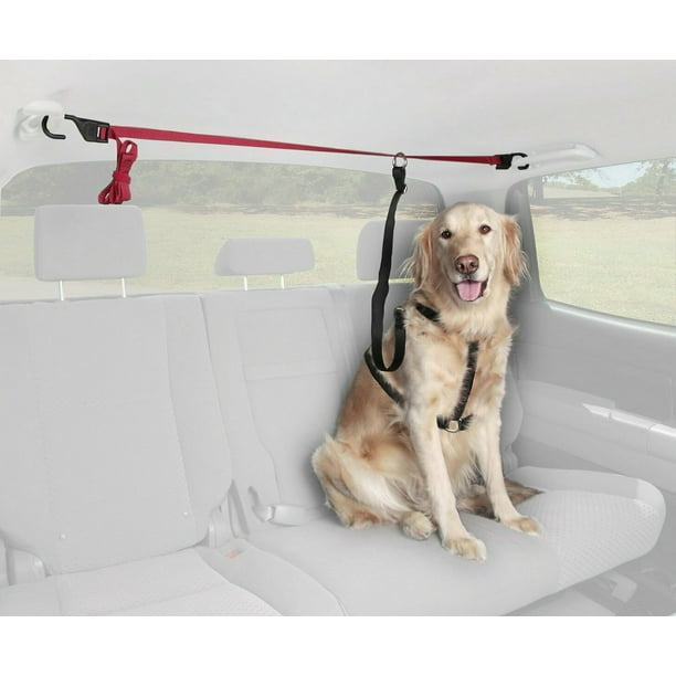 Dog Bed For Backseat Of Truck Velcromag