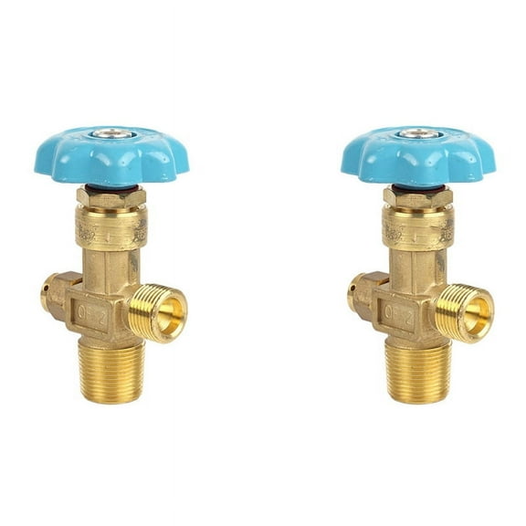 2X DN4 15MPa Oxygen Cylinder Valve Qf-2 Oxygen Valve Copper Oxygen Cylinder Nozzle Steel Cylinder Accessories