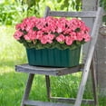 thumbnail image 5 of Zukuco Artificial Flowers for Outdoors, 4 Pack Geraniums Silk Flowers UV Resistant No Fade Faux Flowers Geraniums Bush for Home Outdoor Garden Porch Window Vase Wedding Decor (Pink), 5 of 7