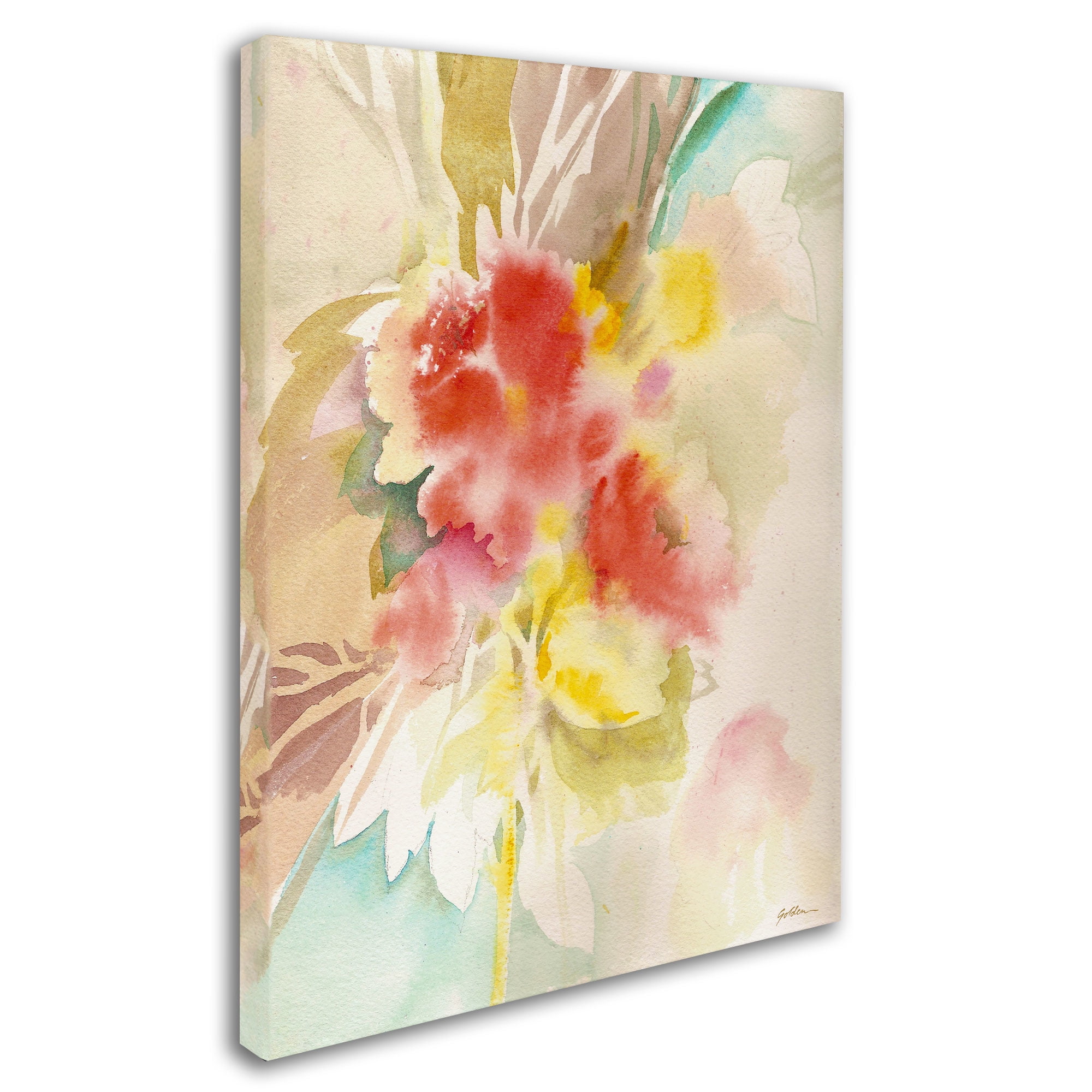 Trademark Fine Art "Red Flower Shadows" Canvas Art by Sheila Golden