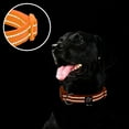 thumbnail image 6 of azuza Reflective Dog Collar, Soft Neoprene Padded Pet Collar with ID Tag Ring, Adjustable for Small Dogs,Orange,S, 6 of 6