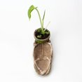 thumbnail image 5 of PENGXIANG Halloween Simulation Skull Flowerpot Retro Gothic Style Planter for Garden Yard, 5 of 5