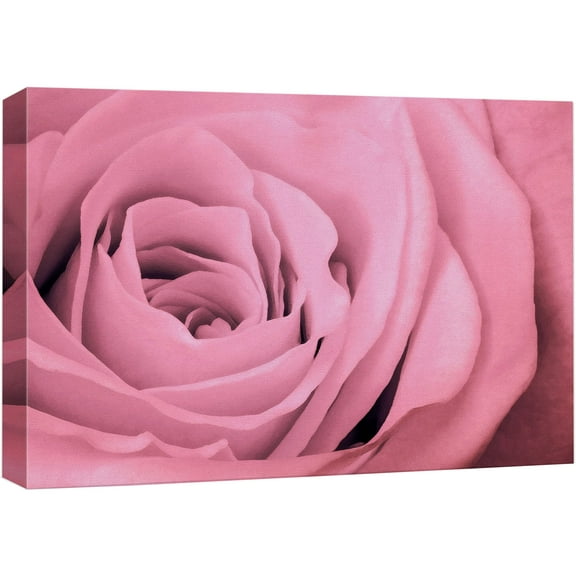 wall26 Canvas Print Wall Art Close Up Detail of Pink Rose Petals Floral Botanical Photography Modern Art Chic Scenic Colorful Nature Wilderness for Living Room, Bedroom, Office - 12"x18"