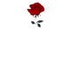 thumbnail image 2 of Women's Soft T-Shirt with elegant Rose Print - Comfortable, Casual Short Sleeve Tee for Daily Wear and Lounging, 2 of 7