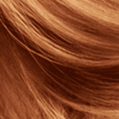 11.7 Apricot Blonde