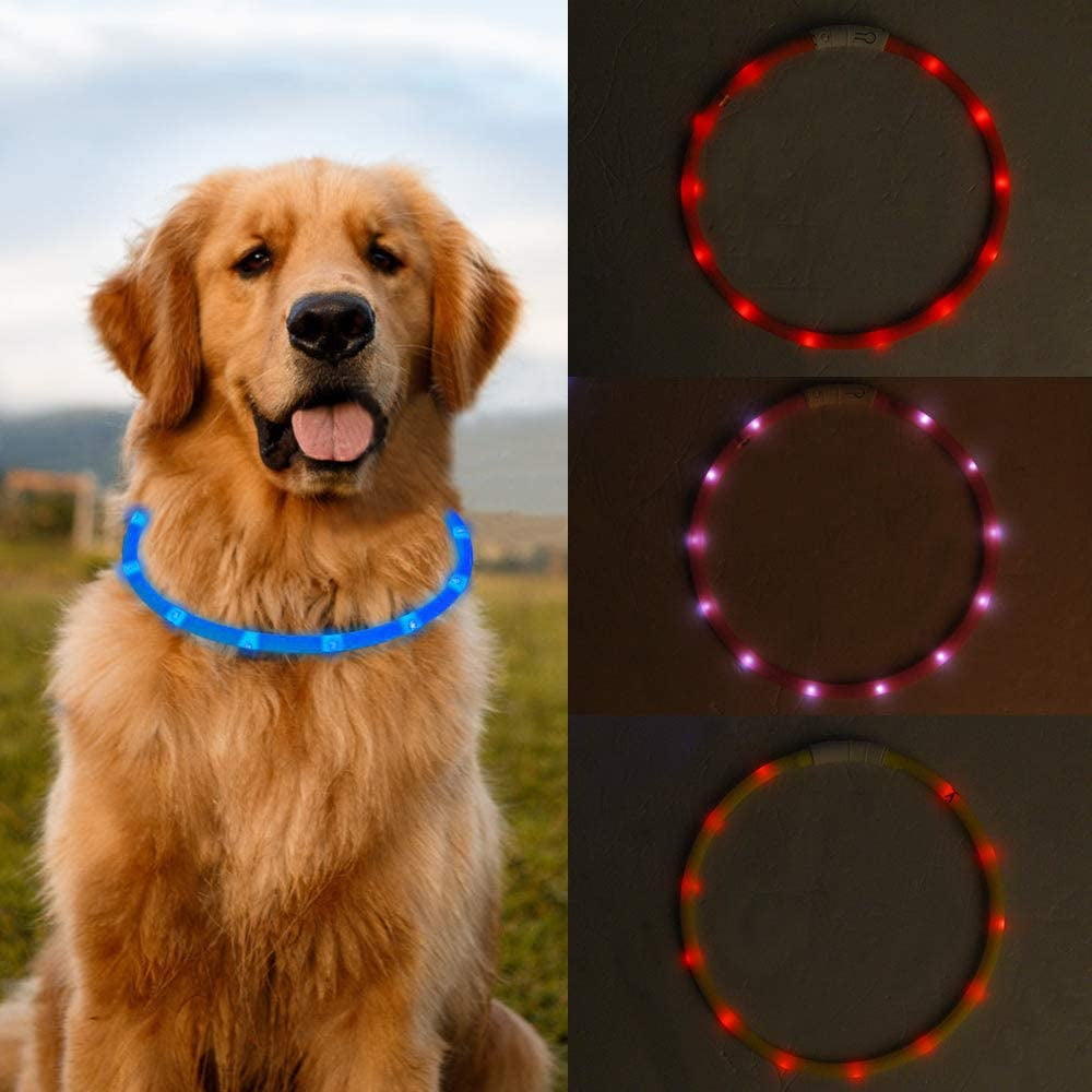 Small, Rose Red Adjustable Glowing Pet Safety Collar Illumifun LED Dog Collar USB Rechargeable Light Up Collars for Small Dogs Running at Night