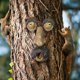 thumbnail image 4 of Cara de árbol estatua al aire libre anciano árbol abrazando corteza mueca decoración de rasgos faciales, 4 of 5