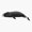 1pcs, variant on Bowhead Whale Ocean Wildlife Sticker