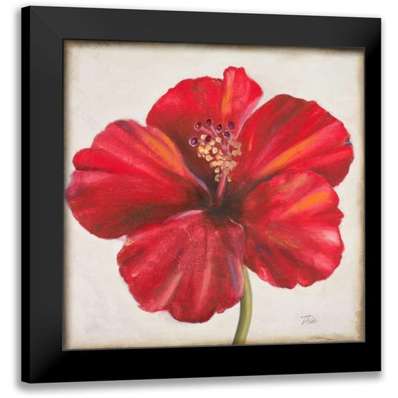 Pinto, Patricia 12x12 Black Modern Framed Museum Art Print Titled - Red Hibiscus