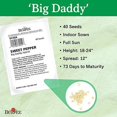 thumbnail image 3 of Burpee Big Daddy Sweet Pepper Seeds 40 seeds, 3 of 3
