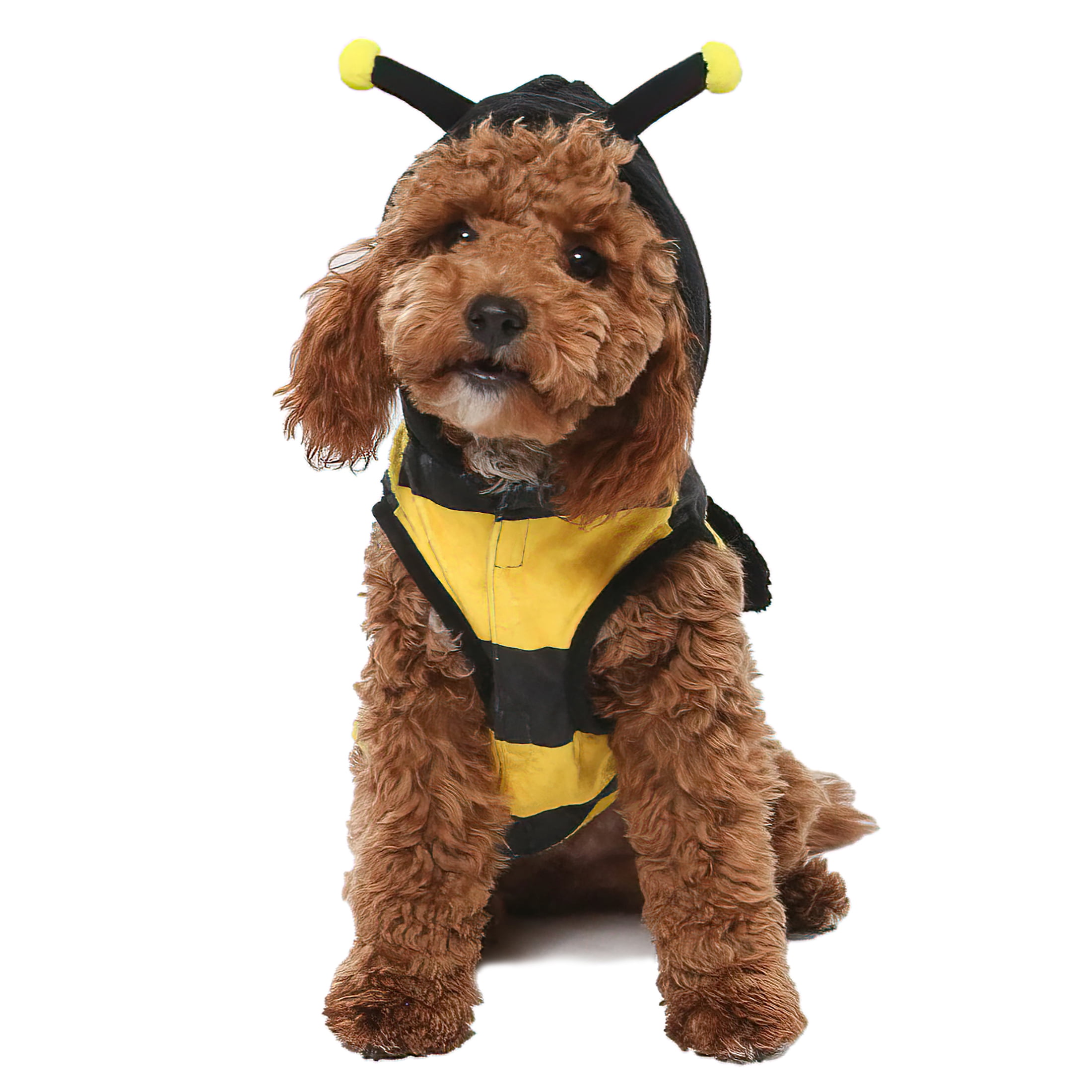 Vibrant Life Vl Hw Bumblebee Costume Small