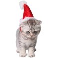 thumbnail image 3 of Sombrero para mascotas de vacaciones y Navidad, disfraz de sombrero de Papá Noel para mascotas, colección de Navidad, accesorio para mascotas para gato, conejo, hámster, conejillo de indias, rojo JAMW Sencillez, 3 of 4