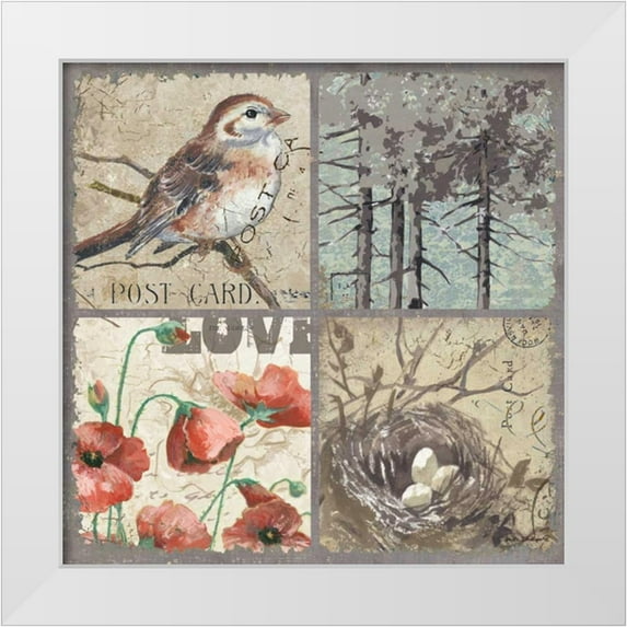 Phillips, Anita 20x20 White Modern Wood Framed Museum Art Print Titled - Bird 4 Patch III