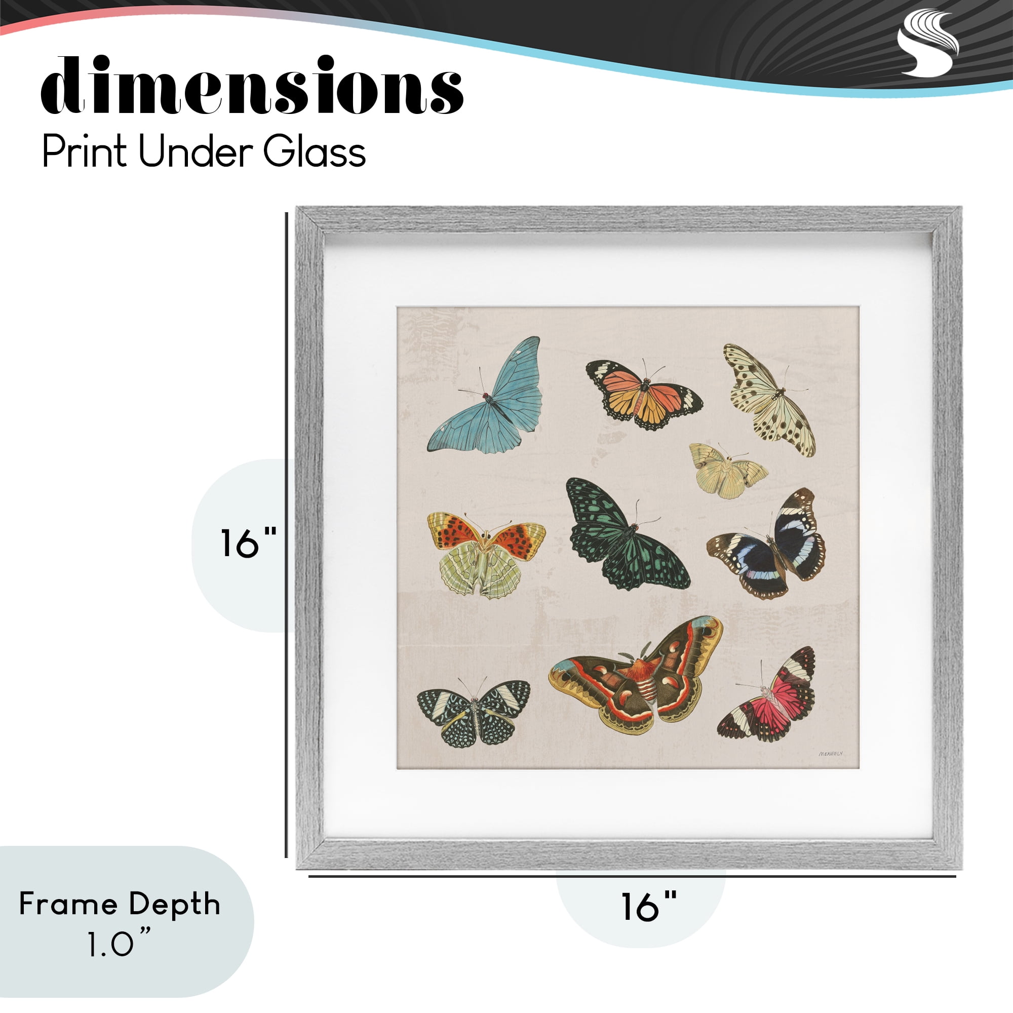 Stupell Industries Vintage Butterfly Flight Gray Framed Print Under Glass, design by Dan Meneely