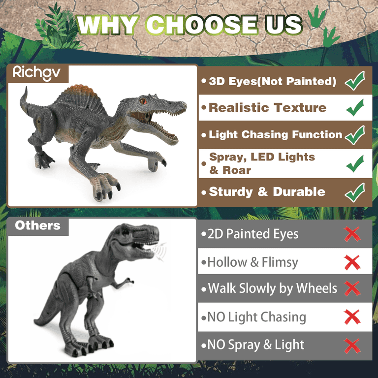 richgv Remote Control Dinosaur Toy for Kids with Spray Sound Light