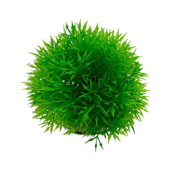 Yammee Aquatic Plants Marimo for Fish Tank Aquarium Decoration Beautiful Appearance Aquatic Grass Balls for Fish Tank