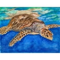 thumbnail image 3 of Odum, Jan 14x12 Black Modern Framed Museum Art Print Titled - Turtle at Sea, 3 of 5