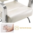 thumbnail image 4 of BarberPub Recliner Hydraulic Barber Chair Hair Spa Salon Styling Beauty Equipment 3127, 4 of 5