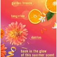 thumbnail image 3 of Febreeze Fall Winter Limited Edition Plug in Holiday Season Scented Refills, 3 pack (Summer Nights), 3 of 7