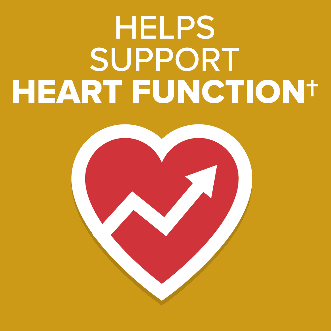 Qunol Ubiquinol CoQ10 Softgels, 200mg, Extra Strength, Heart Health Supplement, 60 Count