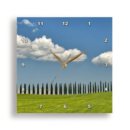 3dRose, Italy, Tuscany. View of long rows of cypress trees, 15x15 Wall Clock