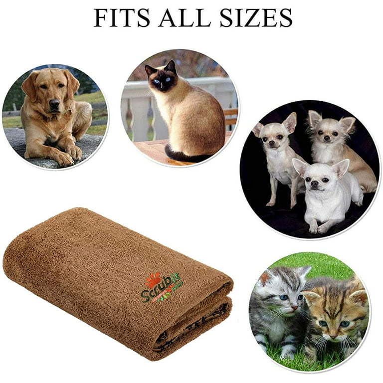 Soft Chenille Dog Mat With Paw Print Design Size and Color Options Cute  Packaging Perfect Gift Idea 