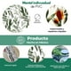 thumbnail image 5 of Manteles Individuales para Mesa, 4 Piezas Tapete Redondo de Plastificado Rigido, Resistente Anti Manchas e Impermeable, Medida 39cm Diam, 5 of 5