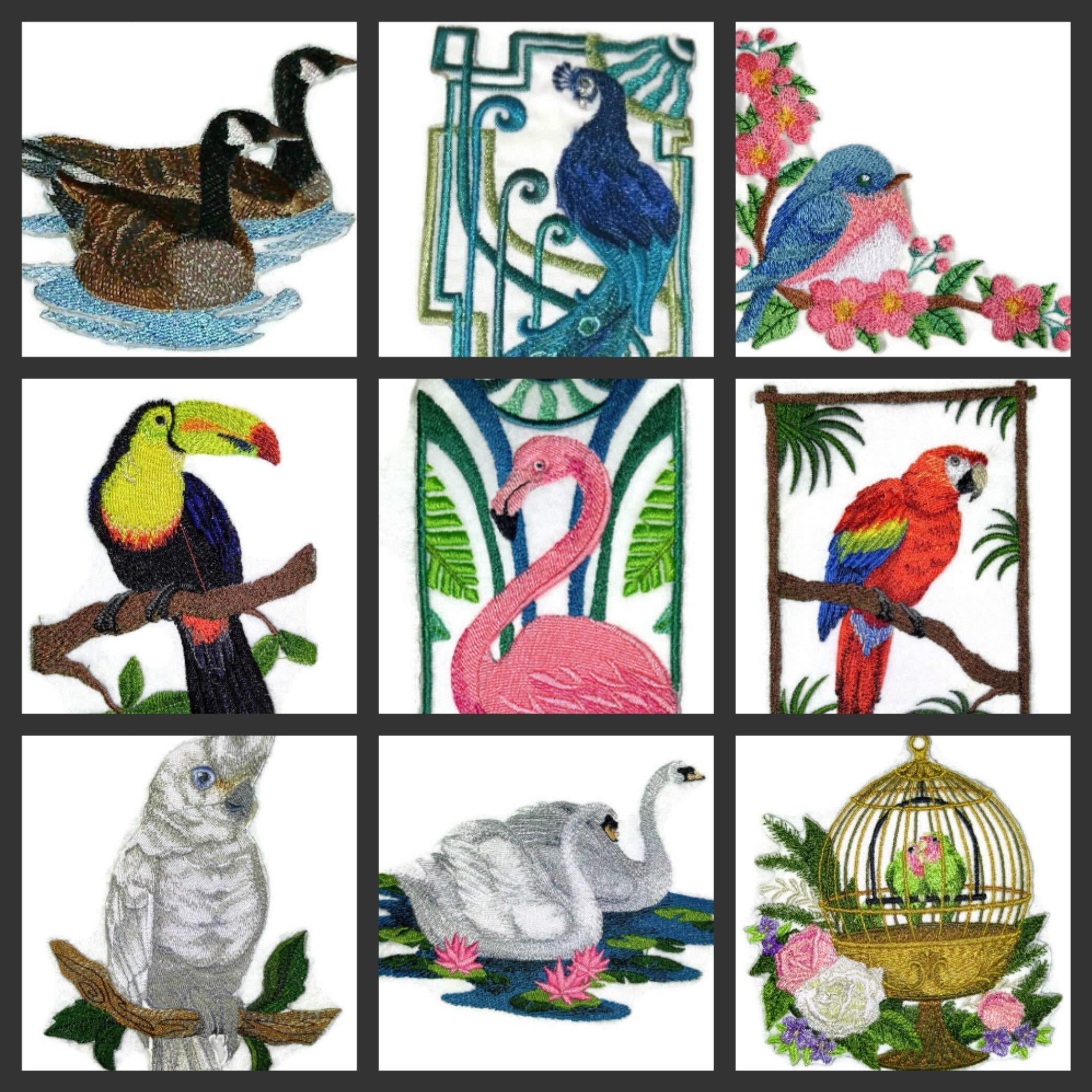 Keel Billed Toucan Embroidered Iron on/Sew Patch [5.25" X 4"]