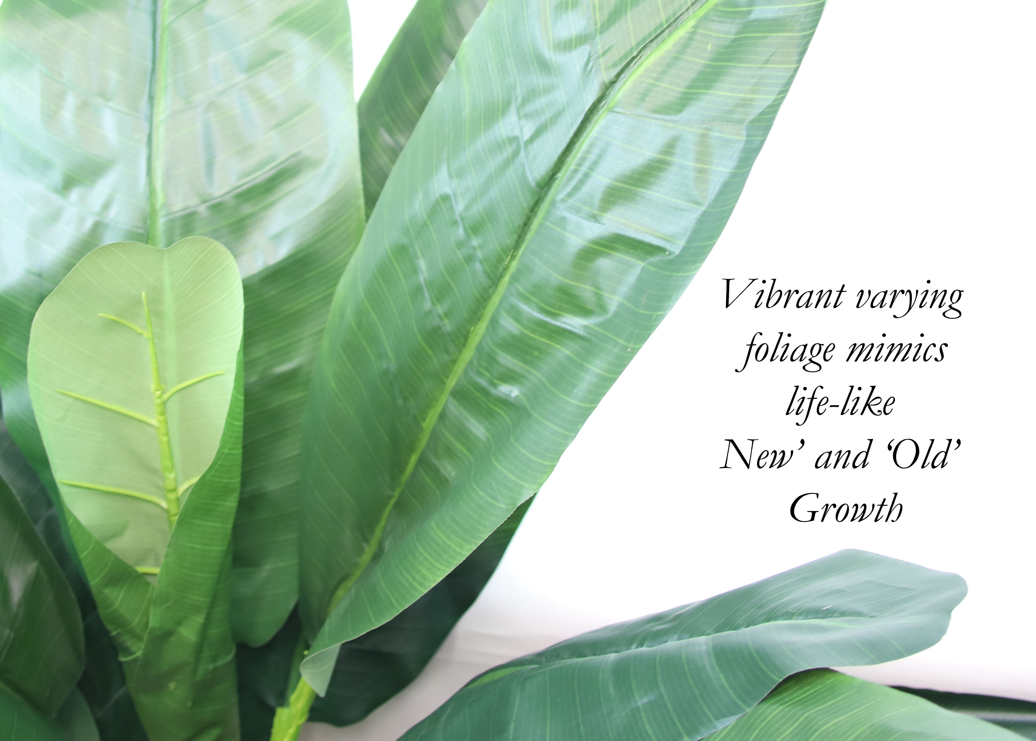 The Mod Greenhouse 72" Artificial Silk Green Bird of Paradise Plant in a Matte Black Grower's Pot