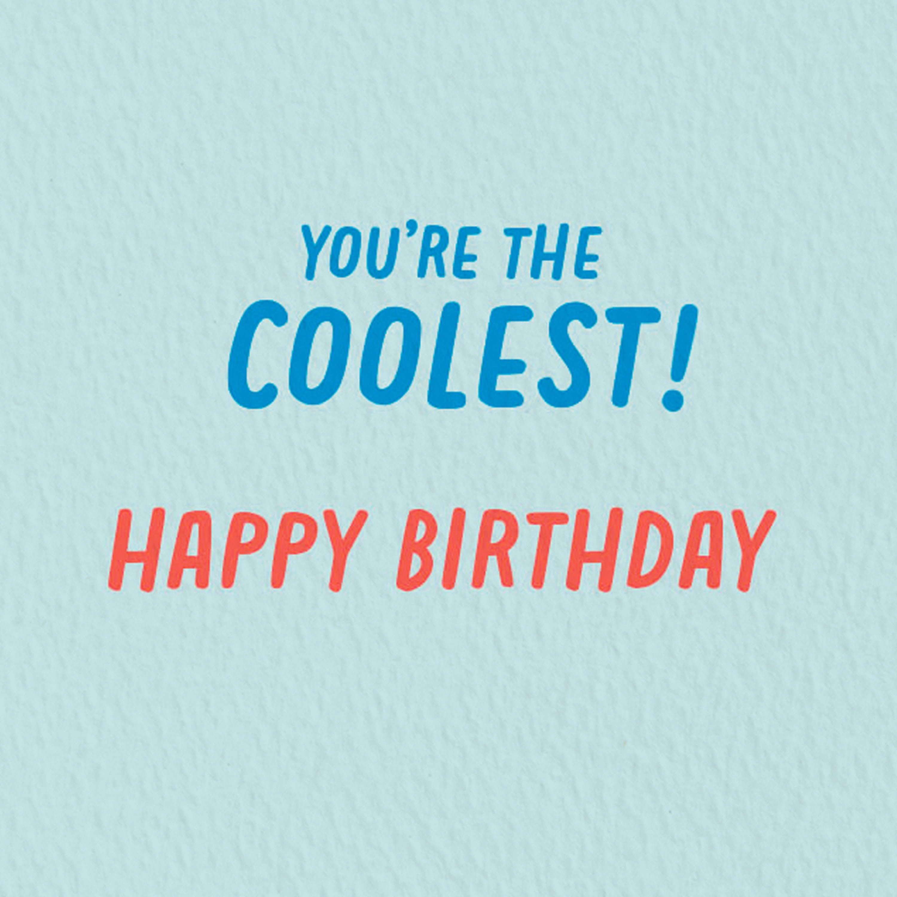 Hallmark Good Mail Birthday Card (You're the Coolest)