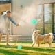 thumbnail image 3 of Globo De Agua Pelota Absorbente Magnética Para Jugar En La Playa Al Aire Libre, Juguete Para Jugar En La Piscina, Juegos De Agua Para Piscina, 3 of 3