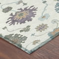 thumbnail image 3 of Addison Rugs Chantille Indoor/Outdoor Traditional Ivory Machine Washable Rectangle Rug, 10' x 14', 3 of 8