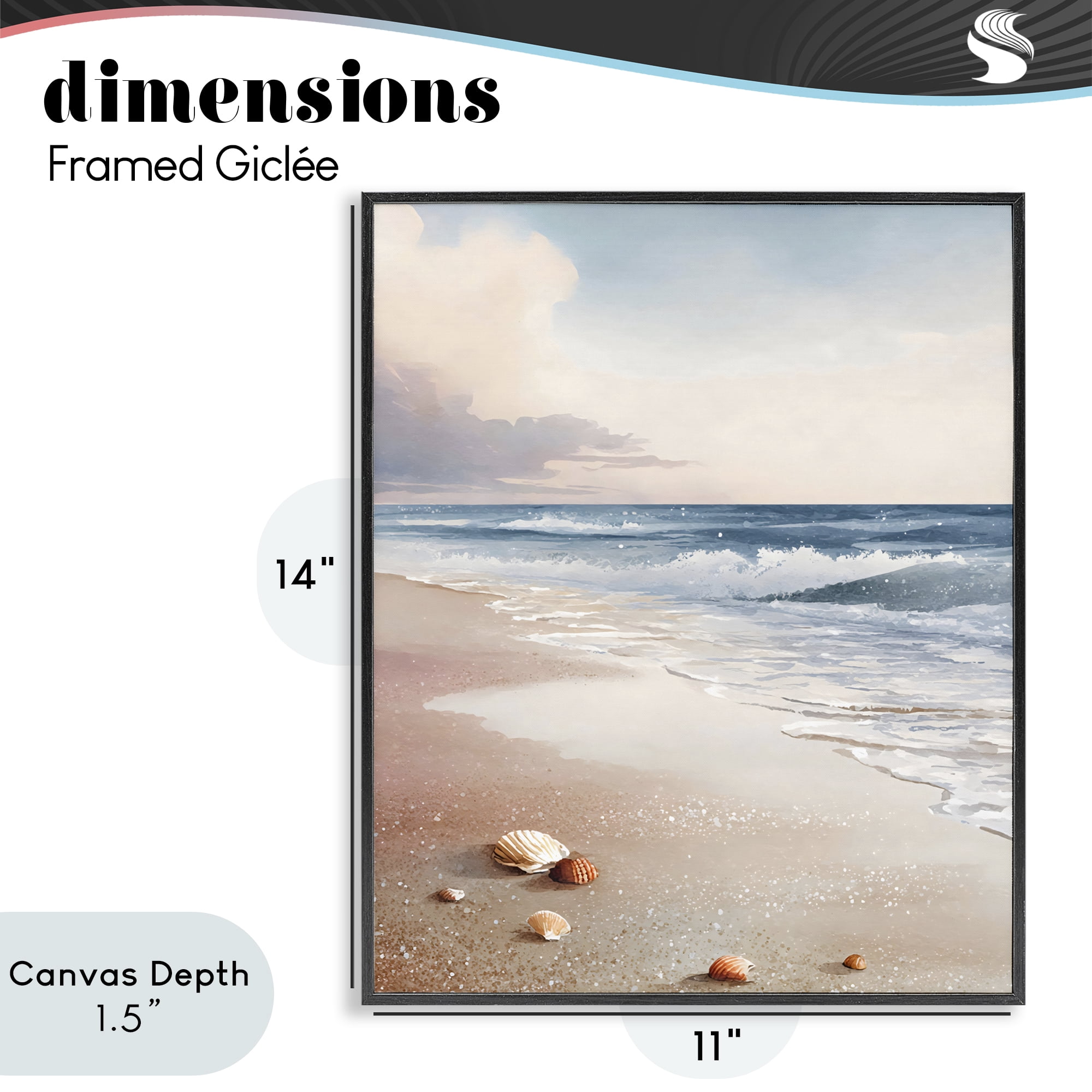 Stupell Industries Washed Up Seashells Black Framed Giclee Art, design by Franklyn Gregory
