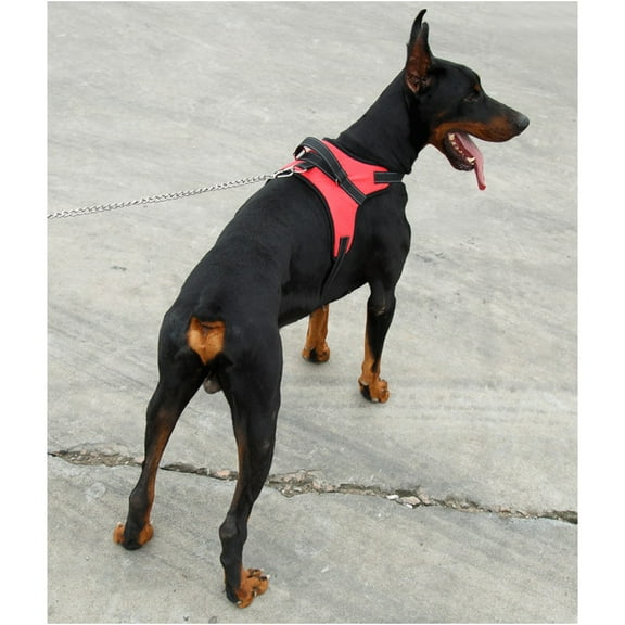 Saddle Style Oxford Cloth Dog Harness for Medium Large Dog Size Red 1 Set
