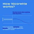 Nicorette Nicotine Gum to Stop Smoking, White Ice Mint Flavor, 4 Mg