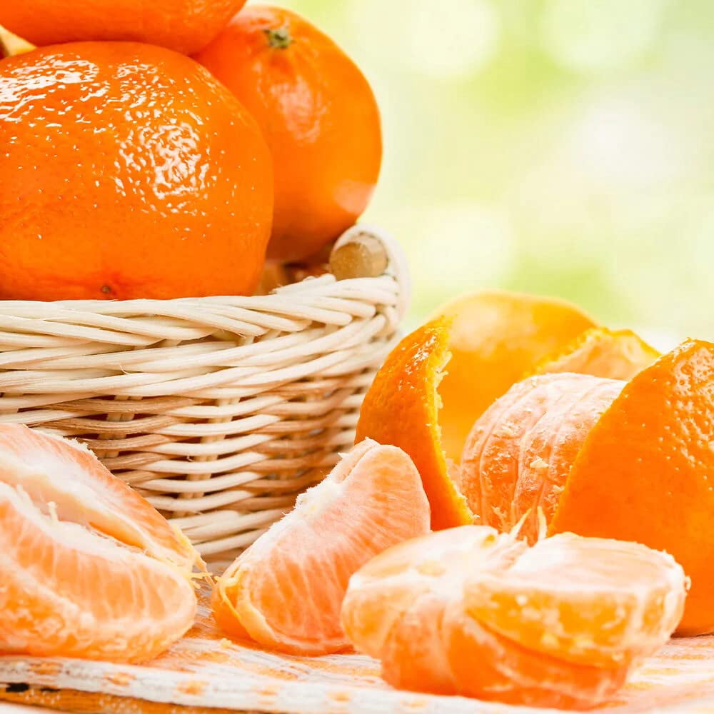 ⭐ Gardenera Labs's Mandarin Potting Soil: The Quick Drain Soil Mix Perfect for Growing and Repotting Mandarin Trees 🌳🍊 [20 Quart Bag]