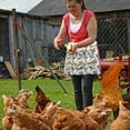 thumbnail image 6 of LmnLft Chicken Egg Collecting Apron, Farmhouse Egg Gathering Apron with Deep Pockets, Egg Carrier Apron for Hens Ducks Geese, Gardening & Home Use, 6 of 6