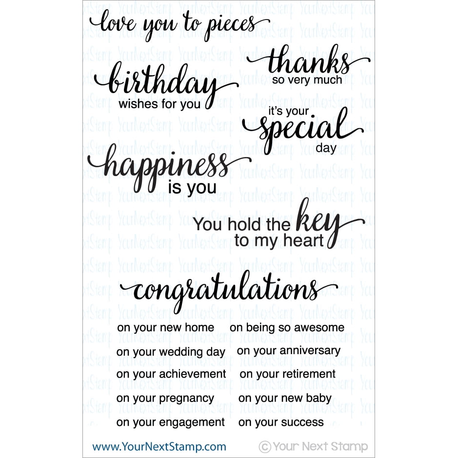 4 x 4 Your Next Stamp Whatnot Sentiment 4 Clear Stamps