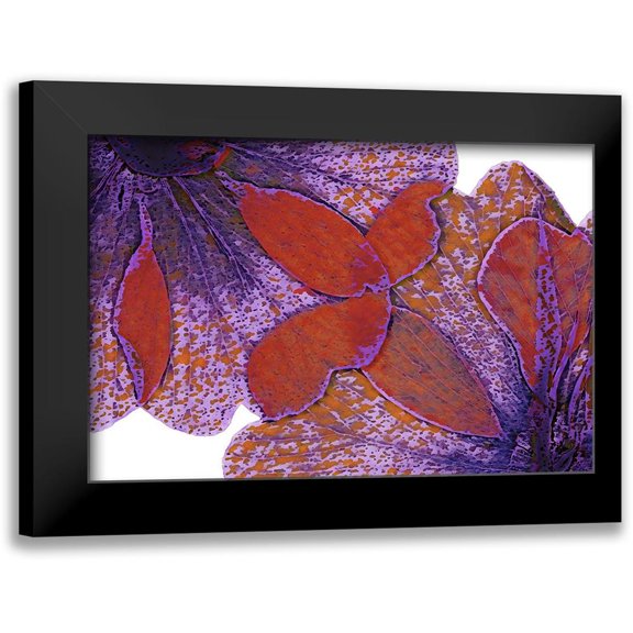 Sommers, Mindy 14x11 Black Modern Framed Museum Art Print Titled - Painted Leaves