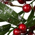 thumbnail image 2 of Northlight Real Touch™️ Frosted Berries and Pine Artificial Christmas Wreath - 18" - Unlit, 2 of 7