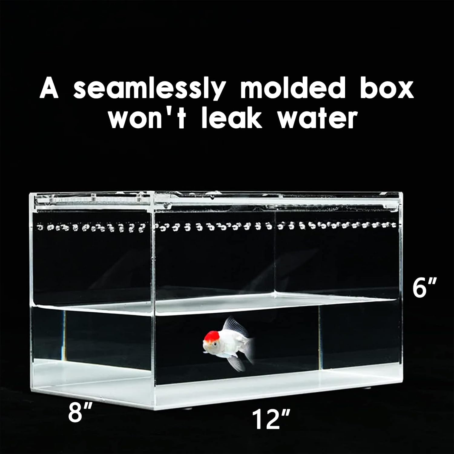 Reptile Terrarium - Amphibian Tank Starter Kit, Eco Rainforest Feeding Box, Amphibian Feeding Box, Suitable for breeding Lizards, Snakes, Chameleons, Jumping Spiders