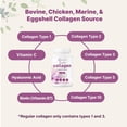 thumbnail image 4 of Micro Ingredients Multi Collagen Pills for Women & Men, 240 Capsules | Type I, II, III, V, X | Hydrolyzed Peptides with Biotin, Hyaluronic Acid, & Fat Soluble Vitamin C Complex, 4 of 6