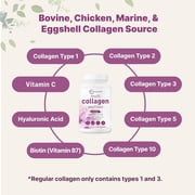 Micro Ingredients Multi Collagen Pills for Women & Men, 240 Capsules | Type I, II, III, V, X | Hydrolyzed Peptides with Biotin, Hyaluronic Acid, Fat Soluble Vitamin C Complex