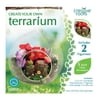 Hanging Terrarium Kit