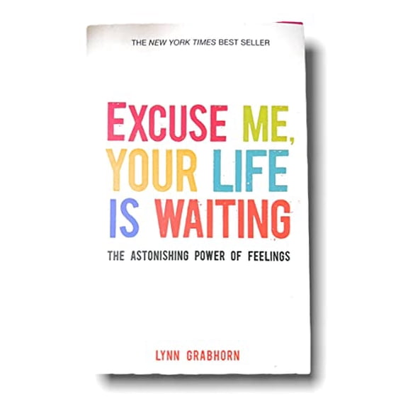 Pre-Owned Excuse Me, Your Life Is Waiting: The Astonishing Power of Feelings