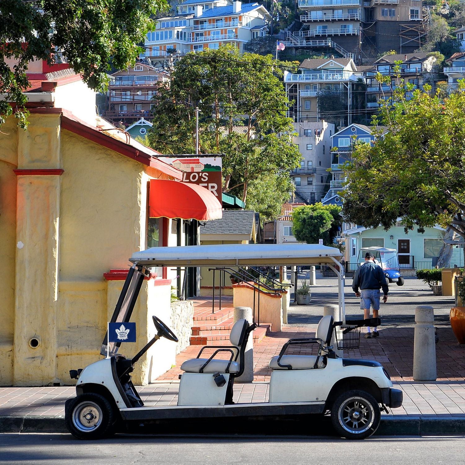 Drapeau de voiture NHL Toronto Maple Leafs 11.25″ x 15.5"