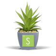 thumbnail image 1 of Chestry Elements Period Table Chalcogens Element Sulphur S Fake Pineapple Flower Pot Vase Mini Decor, 1 of 3