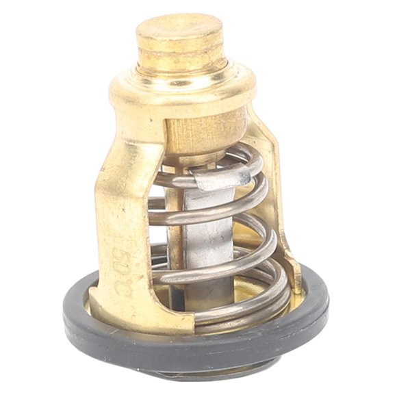 Repuesto de Termostato para BF8D BFP9.9D BF15D