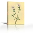 thumbnail image 1 of Silene Vulgaris - Contemporary Fine Art Giclee on Canvas Gallery Wrap - wall décor - Art painting - 18 x 27 Inch - Ready to Hang, 1 of 2