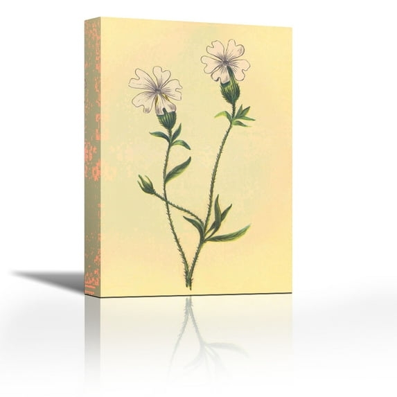 Silene Vulgaris - Contemporary Fine Art Giclee on Canvas Gallery Wrap - wall décor - Art painting - 18 x 27 Inch - Ready to Hang